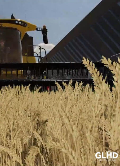 Moissonneuse dans un champ de blé photovoltaique